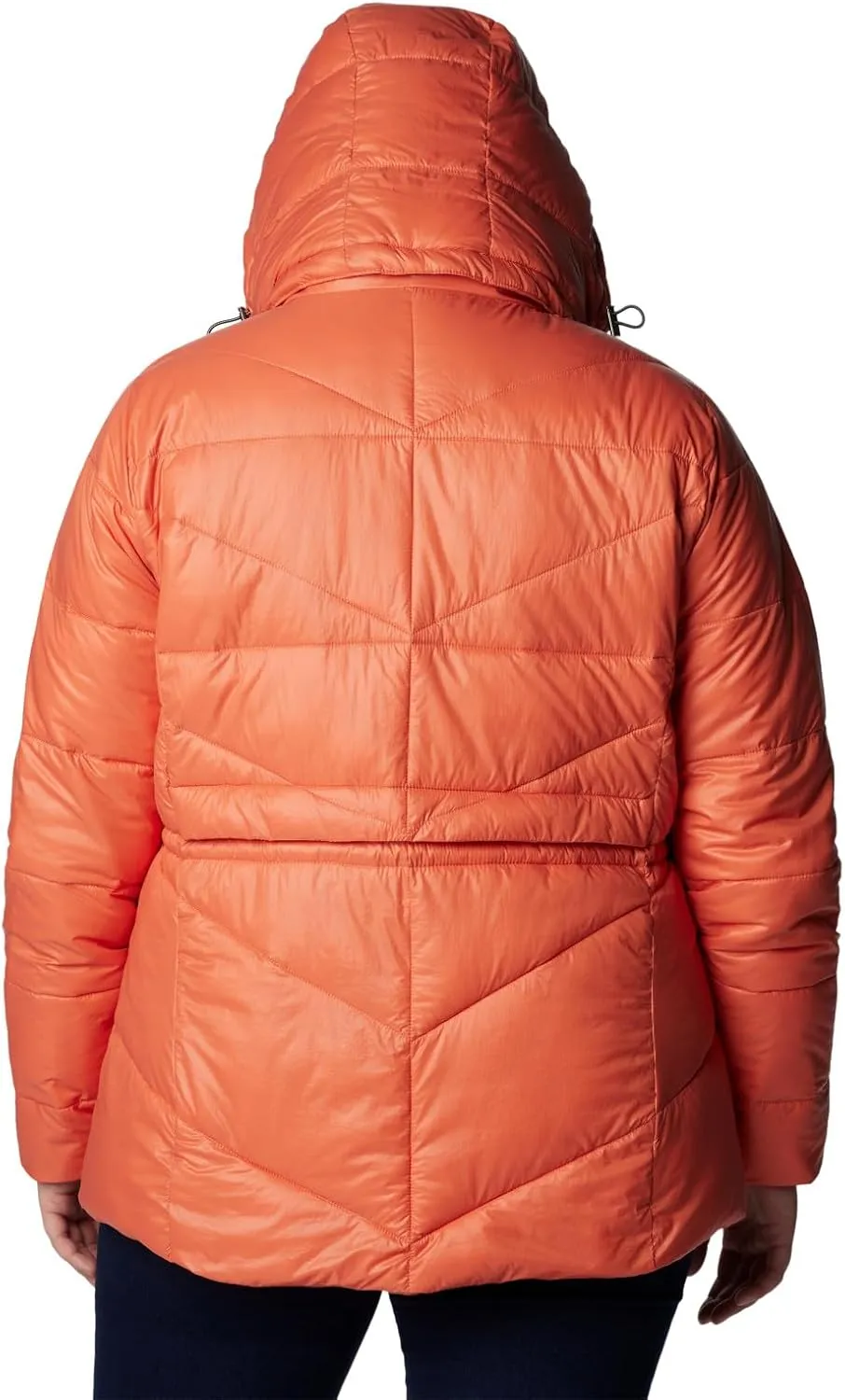 Columbia Women's Peak to Park ii Insulated Hooded Jacket