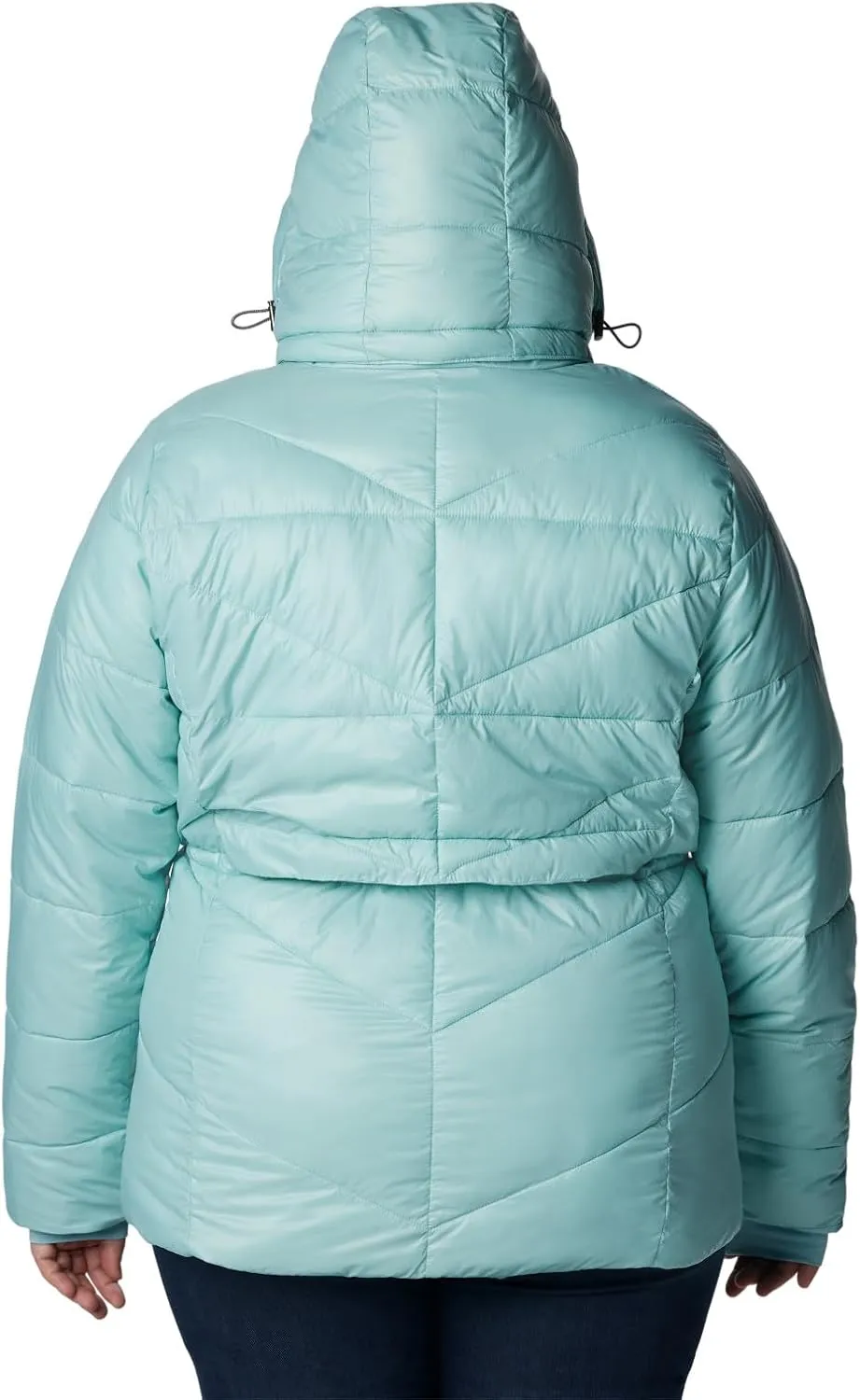Columbia Women's Peak to Park ii Insulated Hooded Jacket