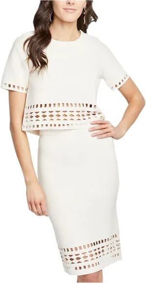 Rachel Roy Womens Cutout Pencil Skirt, Beige, Medium